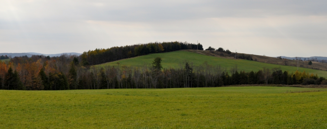 Drumlins in the Hudson Valley June 1, 2017 The Catskill Geologist