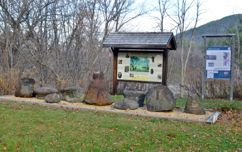 The Gilboa Forest March 15, 2018 The Catskill Geologist