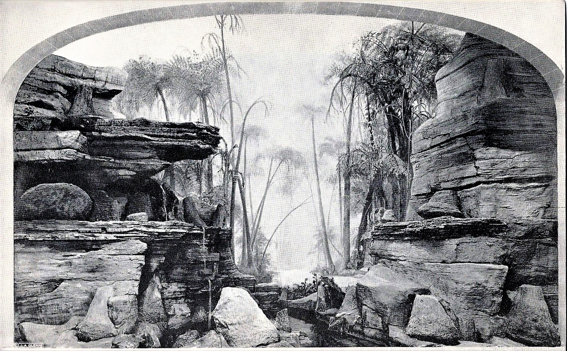 The Gilboa Forest Sept. 6, 2018 The Catskill Geologist