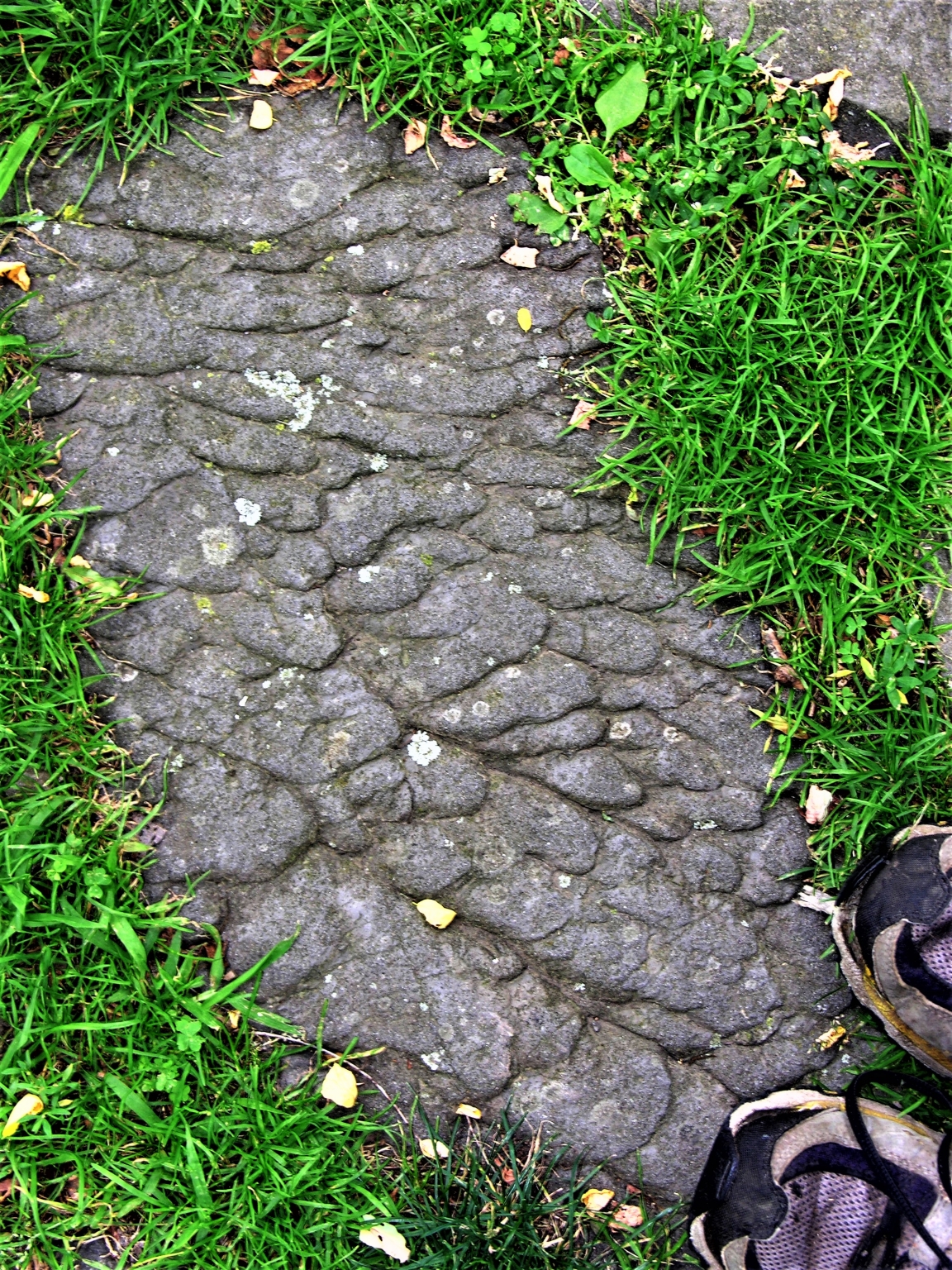 Solemark Riddle Rocks with Sole Apri. 2, 2021 – The Catskill Geologist