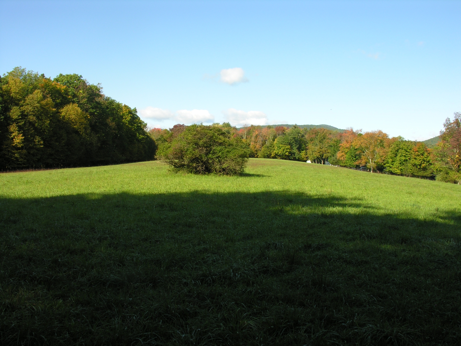 The Comeau Hill at Woodstock Dec. 2, 2021 The Catskill Geologist