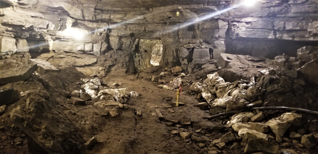 Geologists House A visit to Lester’s Cave July 11, 2024 – The Catskill Geologist